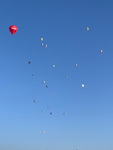 IMG_8459