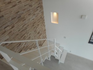 DSCN6231